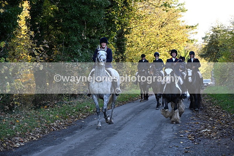 WJ6_9770 - Walk Home