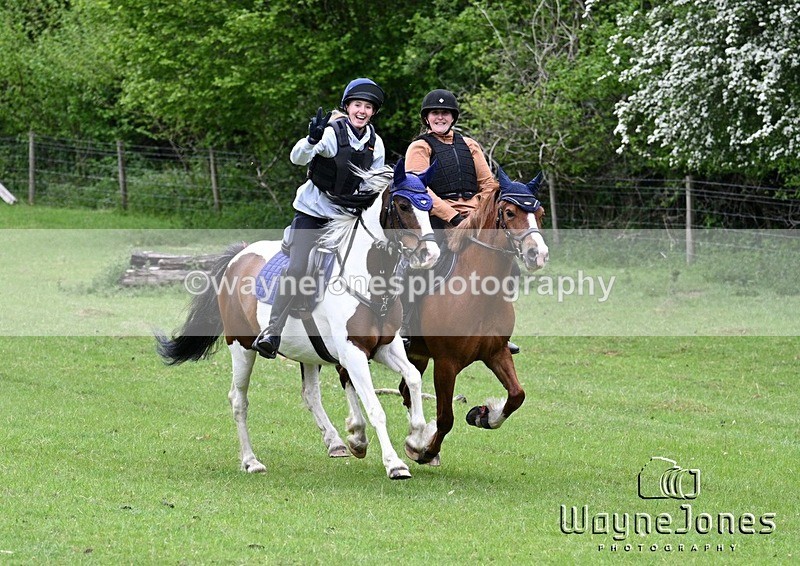 WJ7_2931 - Edited Examples