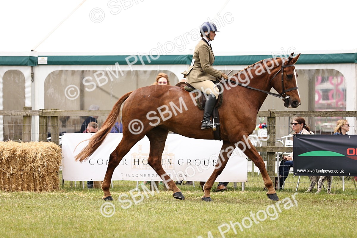 SBM_14651 - Class 88-89 - LIHS BSHA Rising Star of Ridden Hunter Type