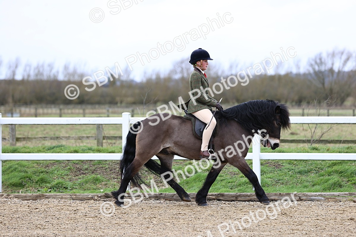 SBM_006747 - Class 29 - 30 - M&M Pure Novice Small-Large Breeds