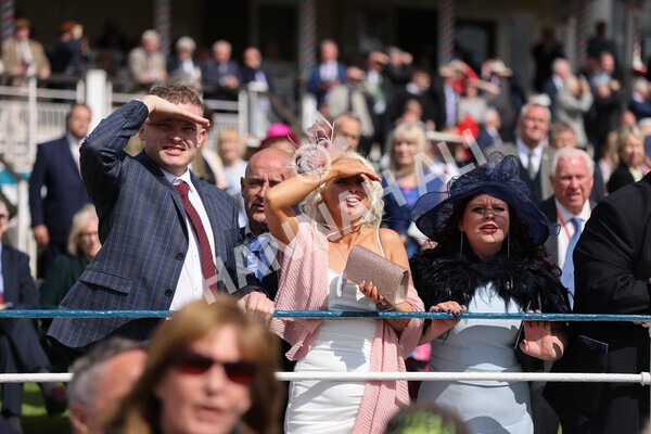 yr11052022r4-24 - Race 4 3.35pm Tattersalls Musidora Stakes