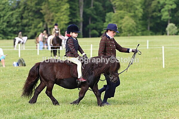 IMG_2242 - Working Hunter