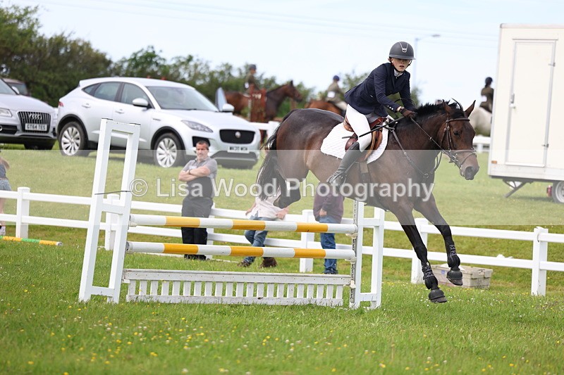 3E7A1813 - Class 13: Senior British Novice/90cm open