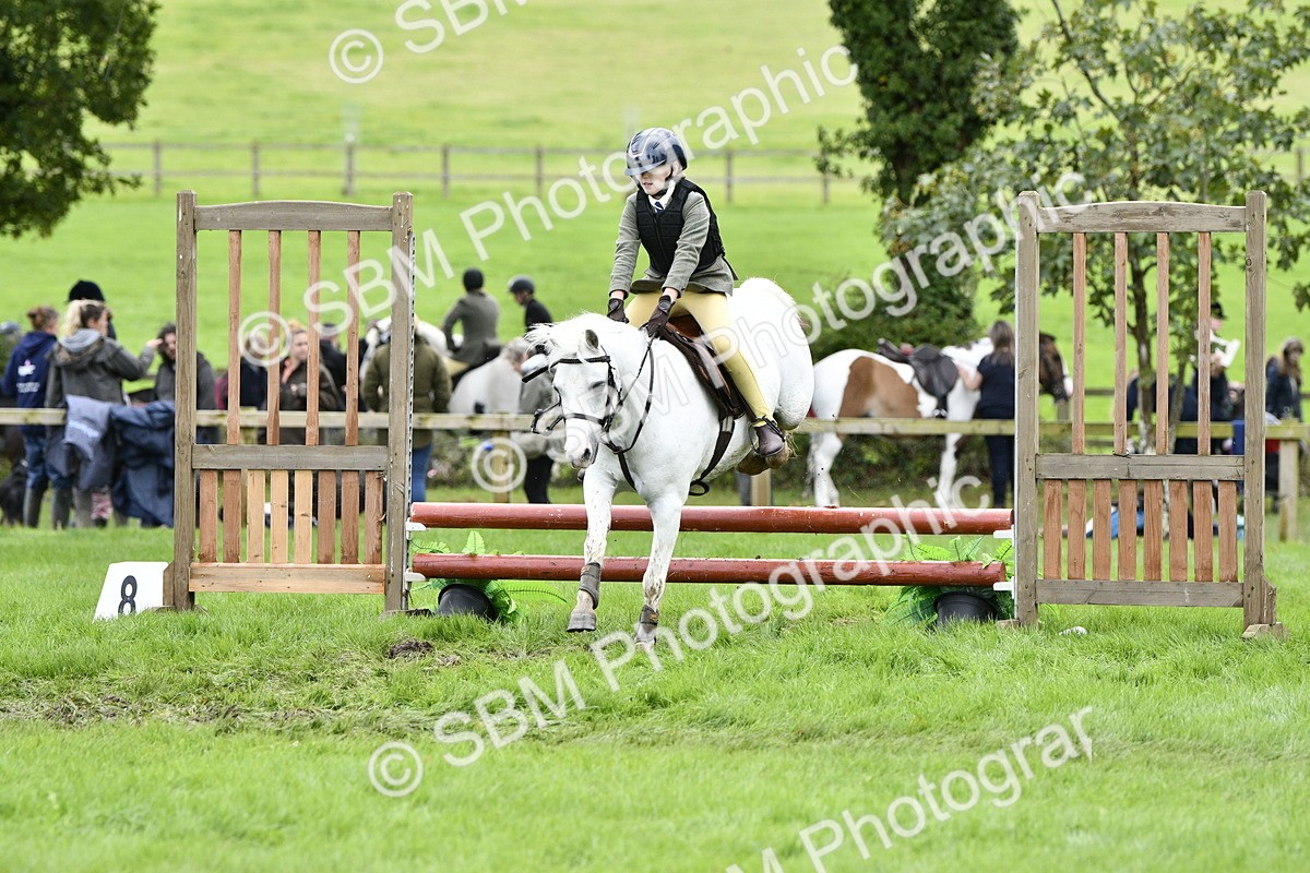 SBM_41290 - S32 - Mountain & Moorland Working Hunter Pony