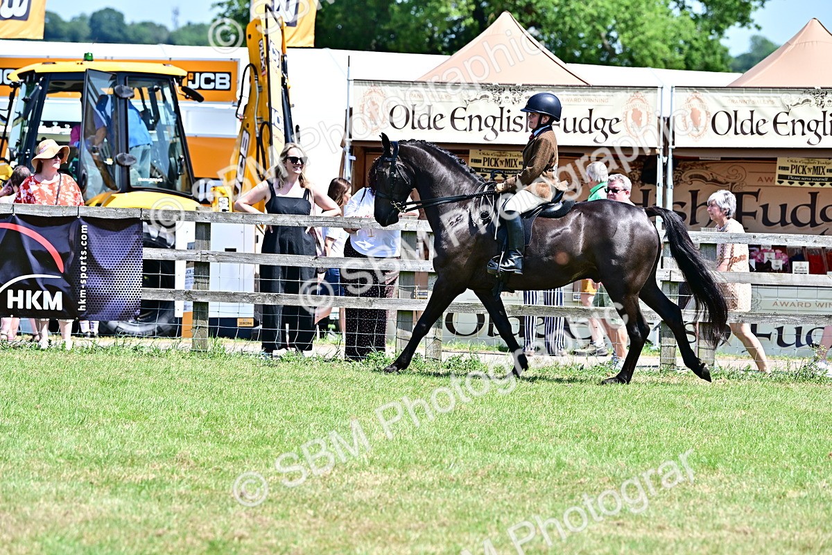 SBM_15391 - Class 95-97 - BSPS LHS Performance Ponies