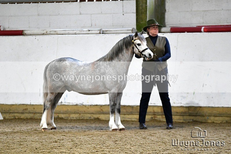 WJ5_5186 - Edited examples