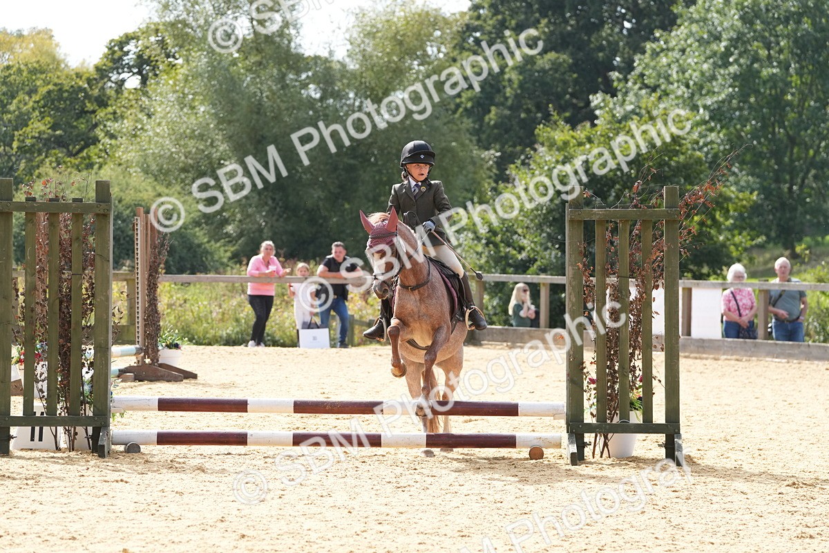 SBM_68394 - J3 - Mini Tour Junior Pony 40cm Championship