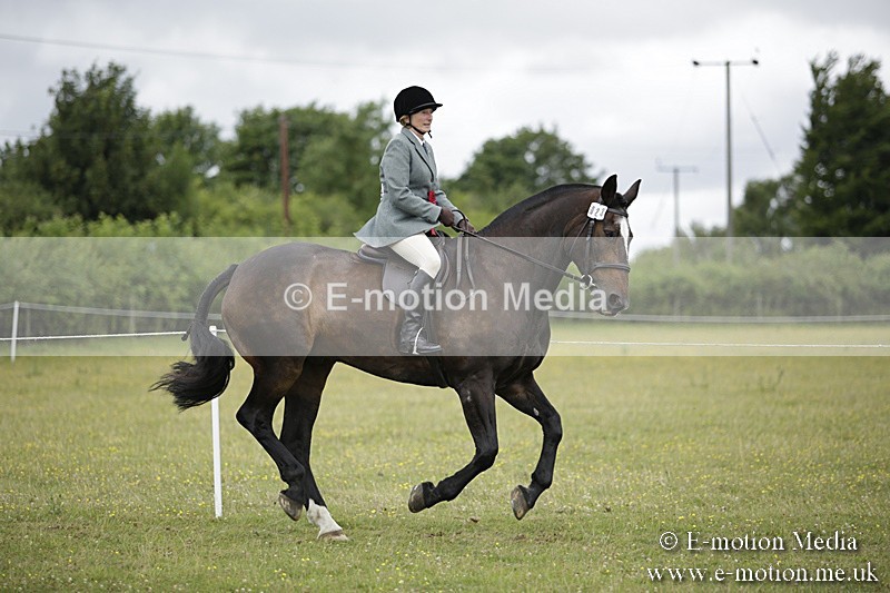 BVR160717-2113 - Ridden Championship 16/07/17