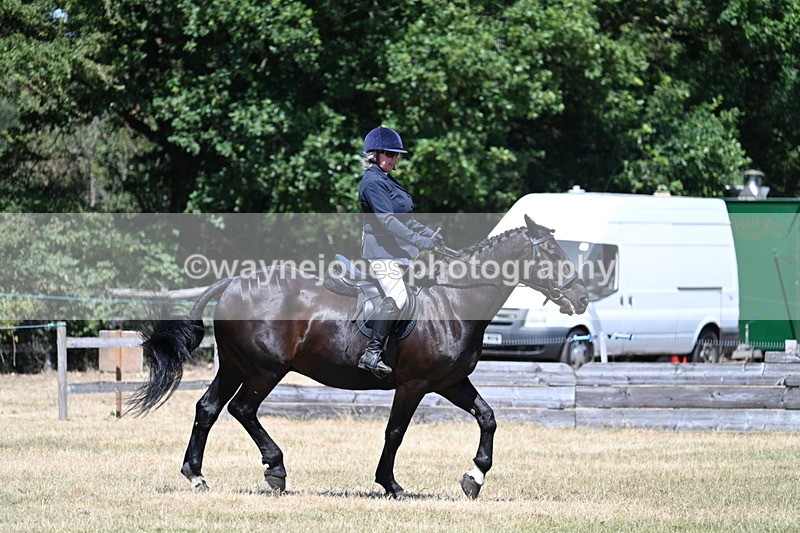 WJ7_2945 - Class 7 Riding Club Show Horse