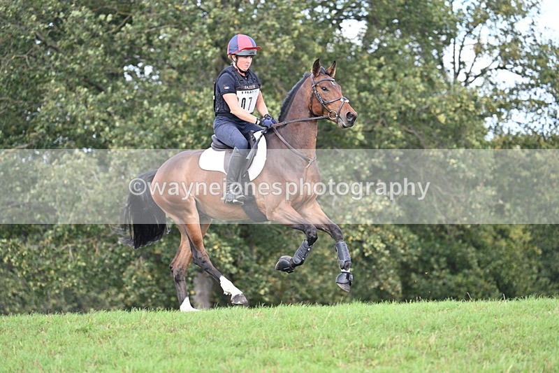 WJ7_2331 - Time 13:55 to 14:05