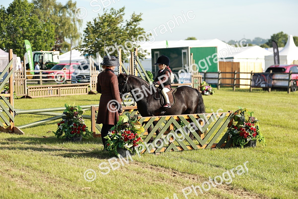 SBM_11111 - Class 106-107 - BSPS LIHS Working Sports Pony