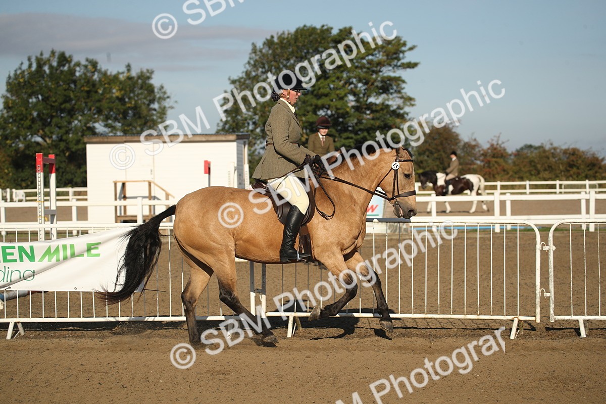 SBM_11536 - Class 502 - Riding Club Horse
