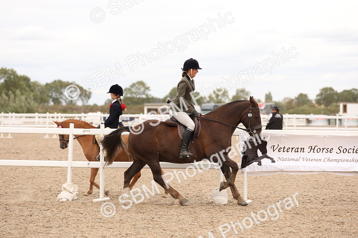 SBM_19547 - Class 215 - Ridden Show cob