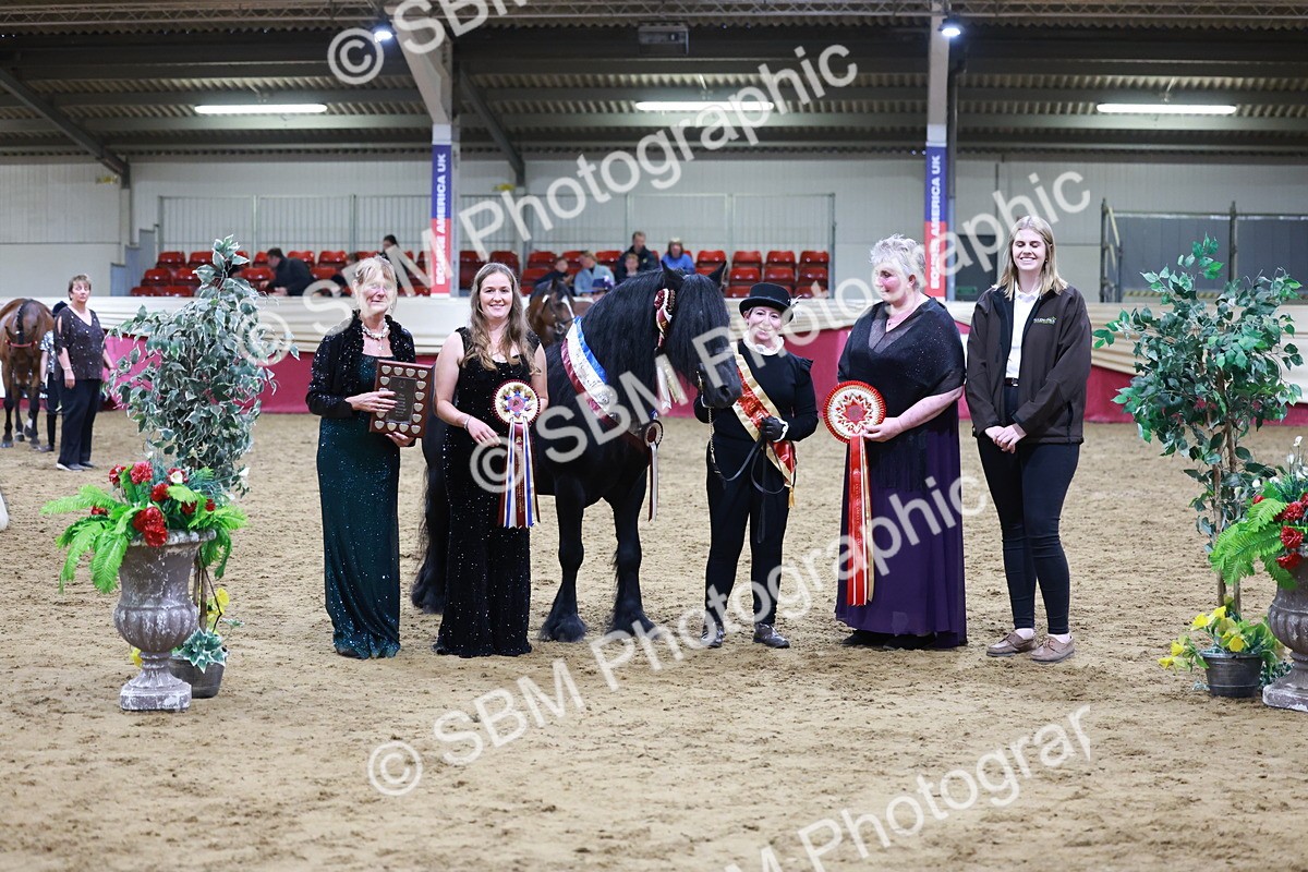 SBM_20420 - Class F - IH Small (148cm & Under)Champ