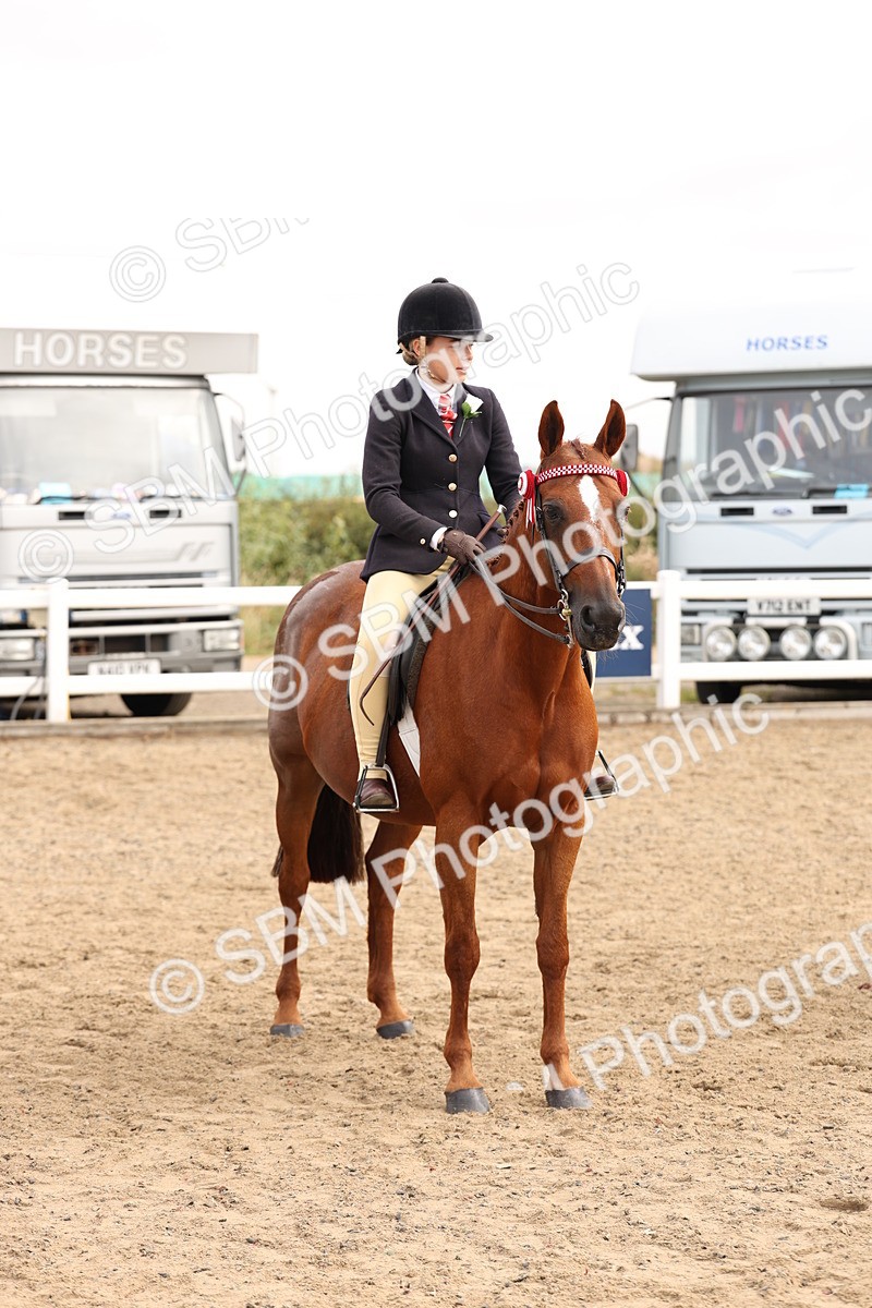 SBM_01631 - Class 52 - Ridden Veteran