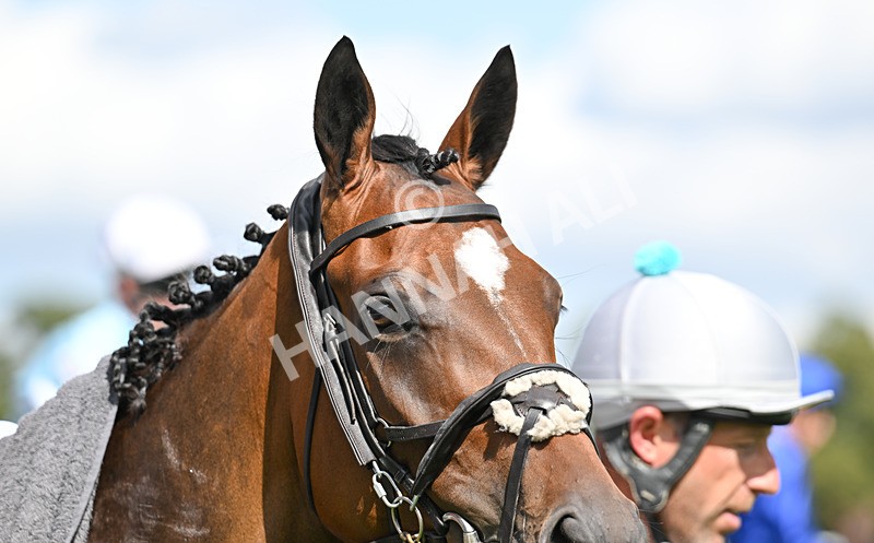 220826-039 Probation - Race 2 14.25pm Sky Bet Melrose Handicap
