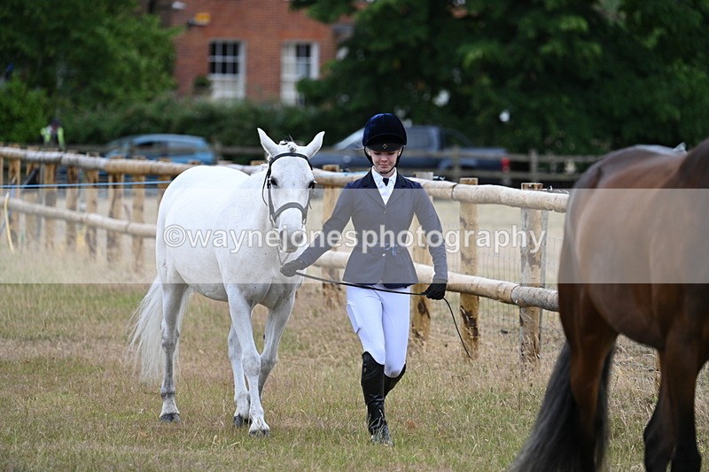 WJ7_9044 - Class 4a Prettiest Mare 14.2hh and over