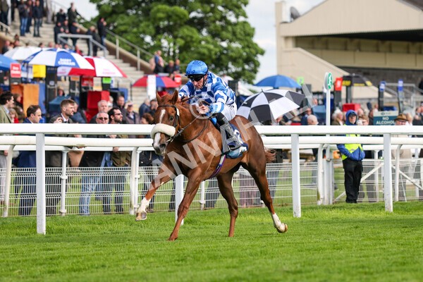 yr11052022r7-15 - Race 7 5.15pm British Stallion Studs EBF Novice Stakes