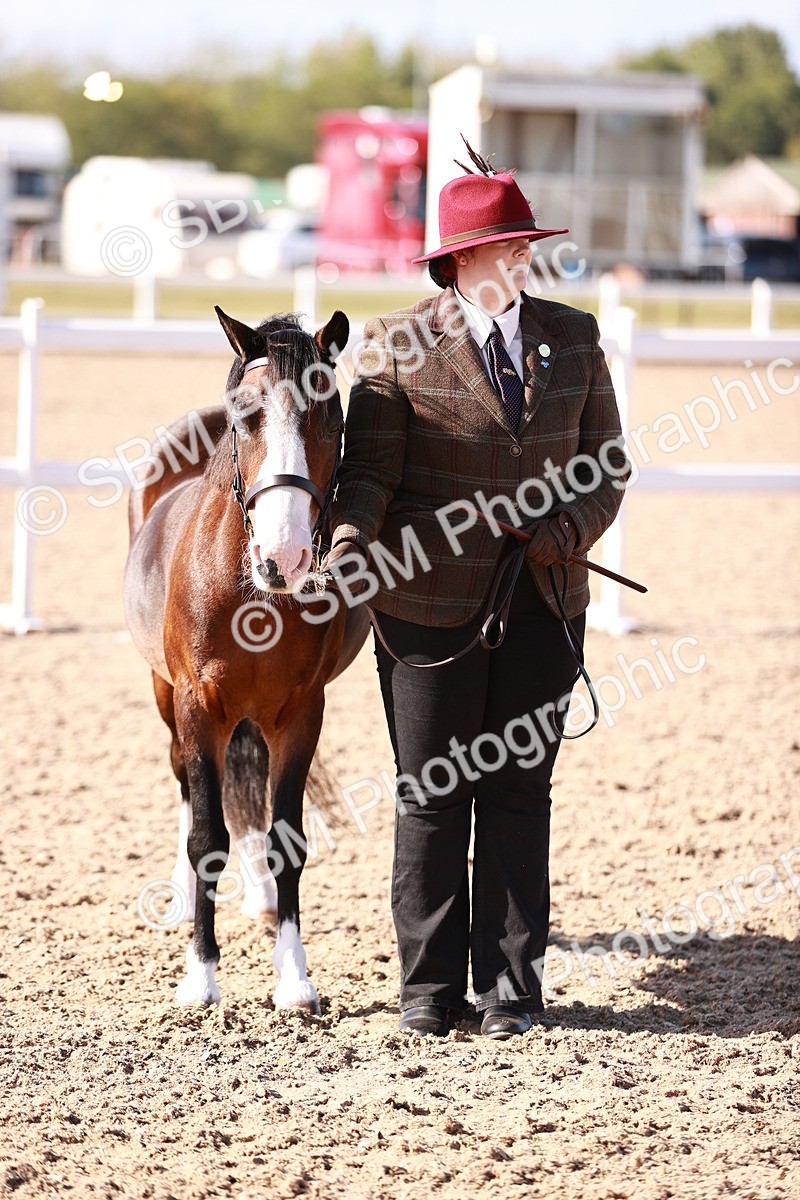 SBM_22717 - Class 704 - IH  Rescue