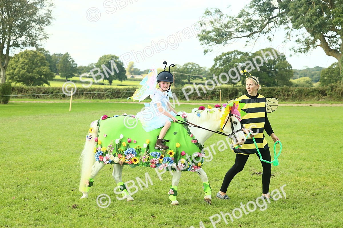 SBM_63496 - S35 - Fancy Dress Showing