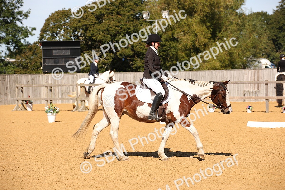 SBM_21638 - D5 - Small Tour Championship - Intro C