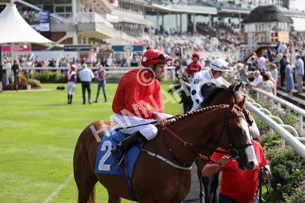 yr05092021r1-11 - Race 1 2.10pm IRE-Incentive It Pays To Buy Irish ebfstallions.com Novice Stakes