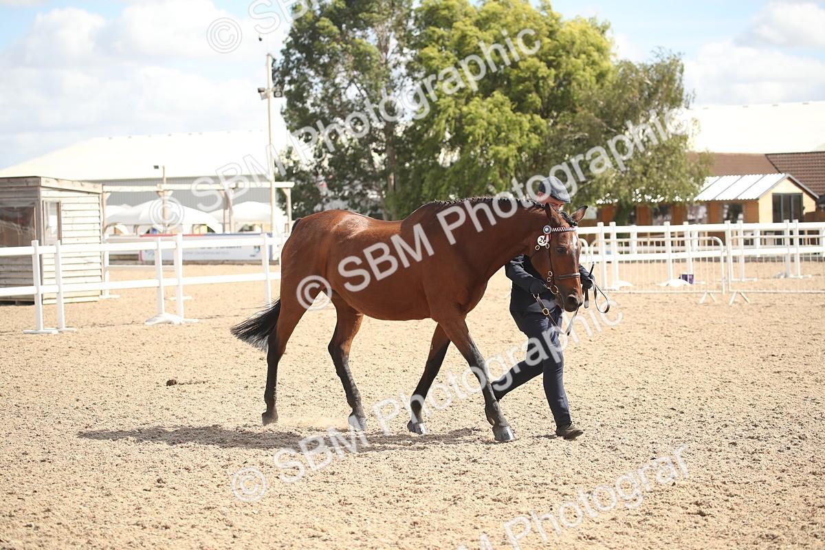 SBM_23441 - Class 604 - 2026 - Area IH Diamond