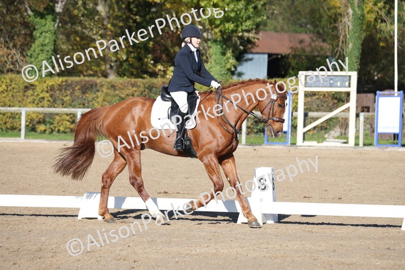 20251102-0531 - Class 3 - Novice 5