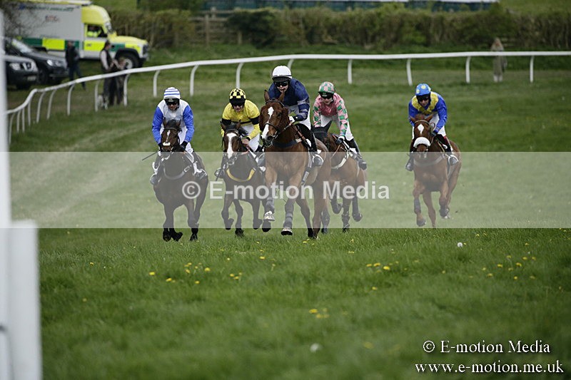 PtP 170417 529 - Old Berks Point-to-Point Lockinge 17/04/17