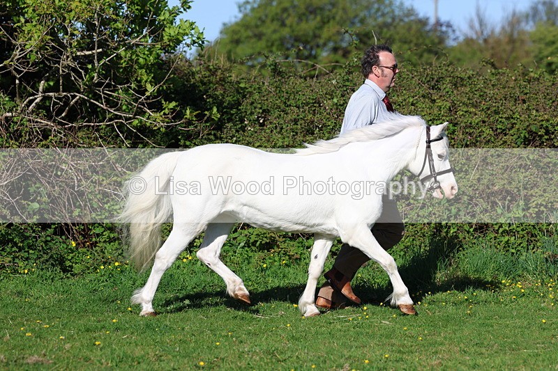 3E7A8361 - Class 12: M & M Small Breeds