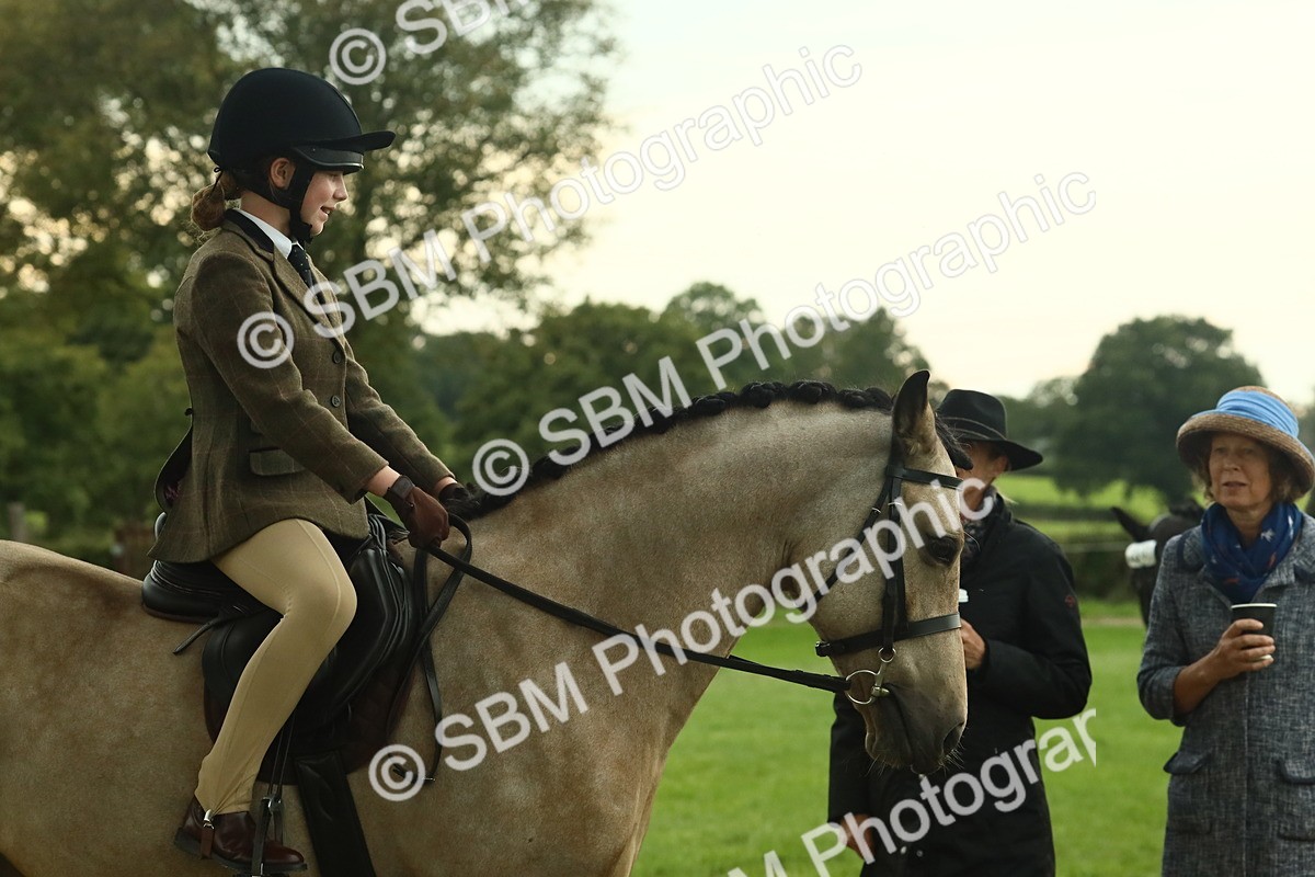 SBM_73993 - S 61 - Show Pony & Show Hunter Pony Ridden