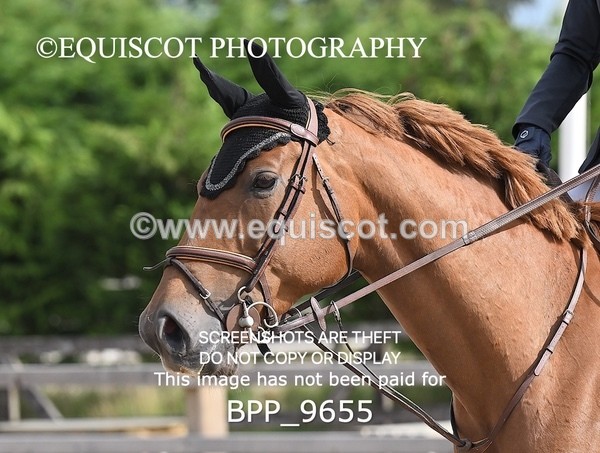 BPP_9655 - CLASS 3 SAT Club 80cms Open