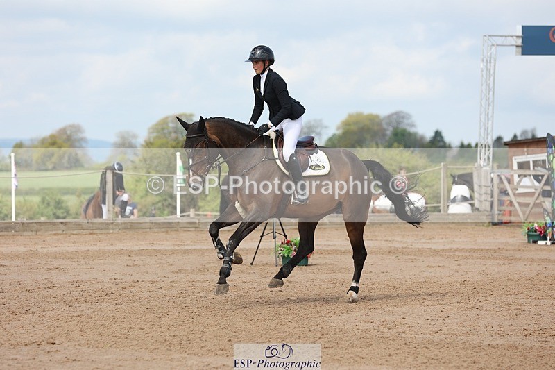 250427-111413-15872 - Cls 36 Young Horse 7yr old