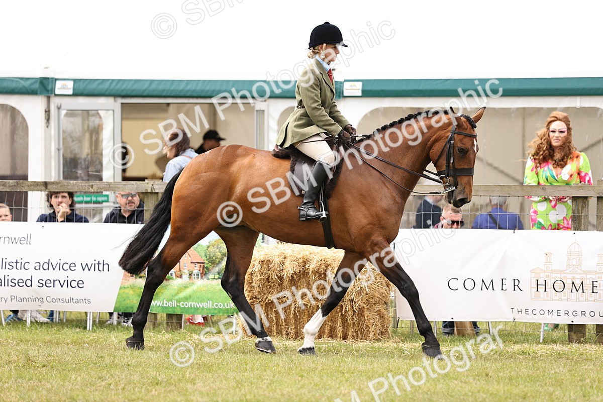 SBM_14655 - Class 88-89 - LIHS BSHA Rising Star of Ridden Hunter Type