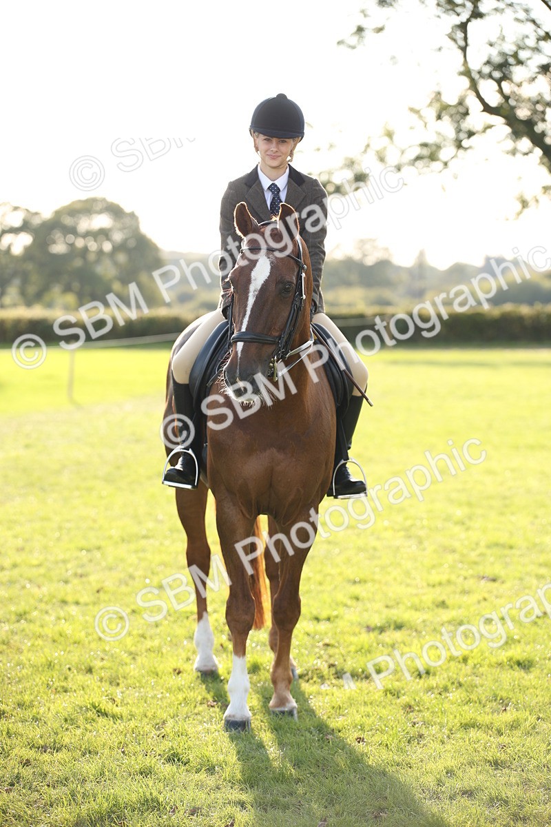SBM_54363 - S27 - Mature Veteran - Ridden