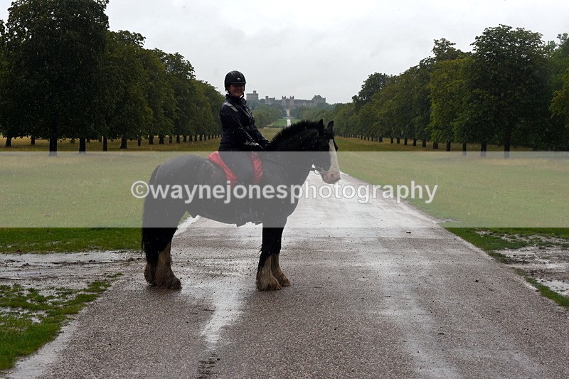 TT3_8875 - Time at Crossing 12:55 to 15:02