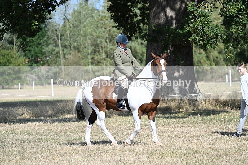 WJ7_2775 - Class 8 Ridden Tack & Turnout