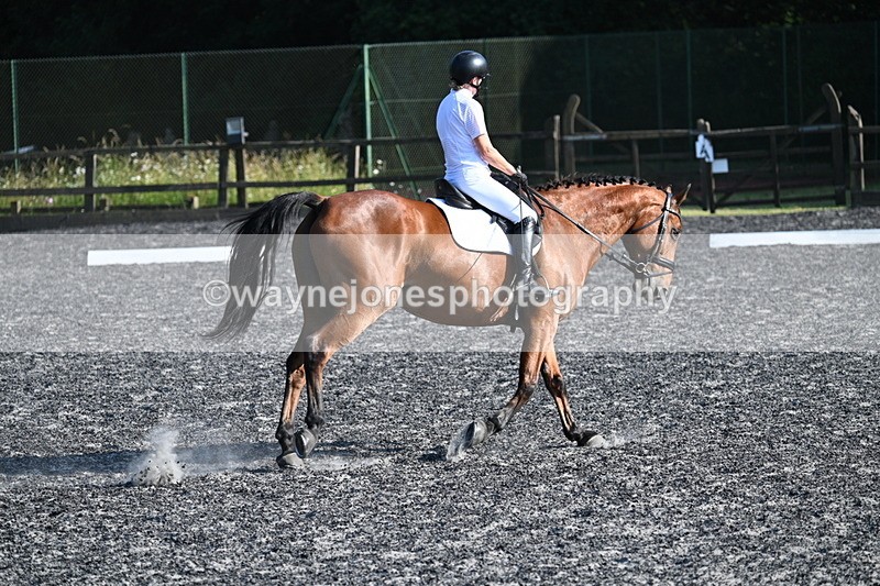 WJ7_8881 - Time 17:51 to 18:30