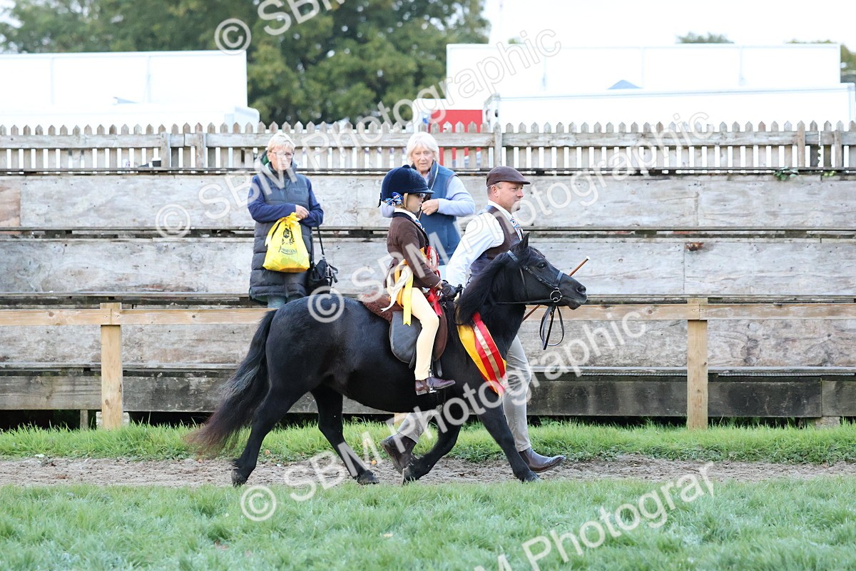 SBM_53452 - Super Supreme Championship (Sat)