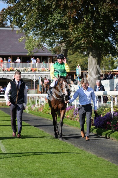 yr08102021r2-31 - Race 2 2.40pm Racing to School EBF Novice Stakes