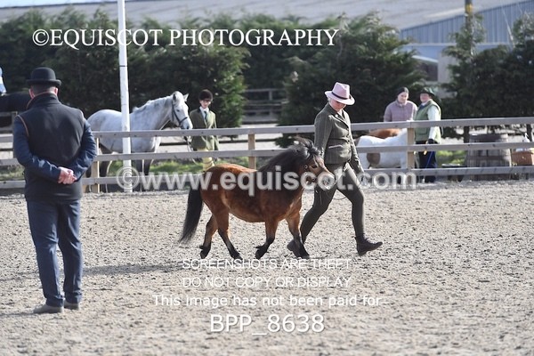 BPP_8638 - RING 2 - M&M