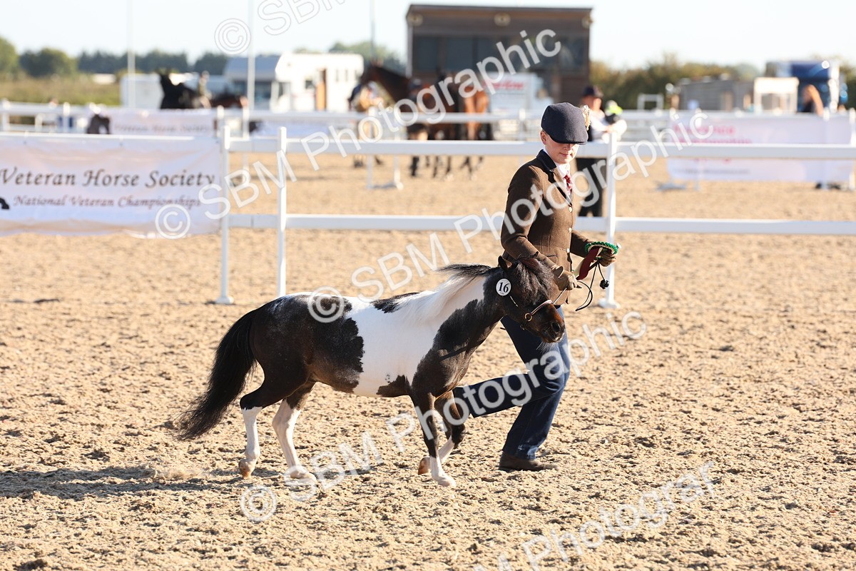 SBM_10816 - Class 201 - Best Turned Out - IH