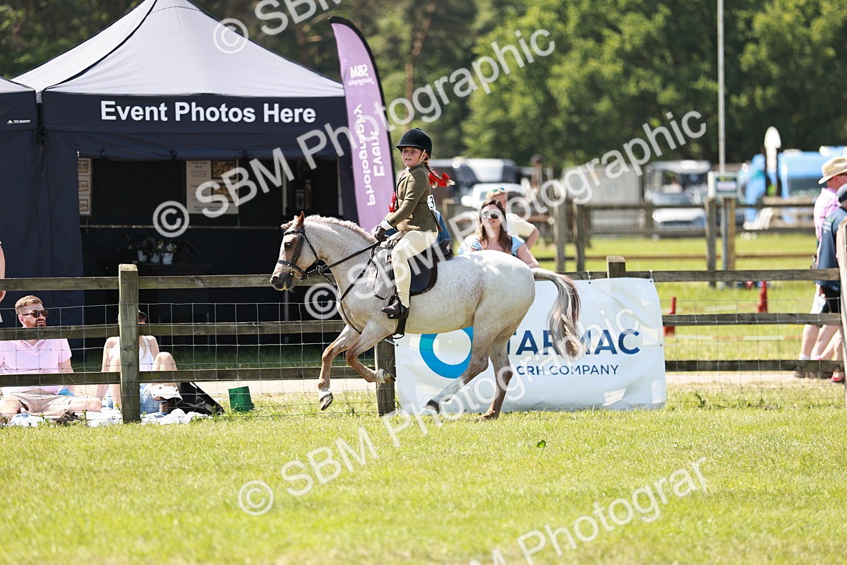SBM_15788 - Class 108-109 - BSPS LIHS Open Gradle & Nursery Stakes