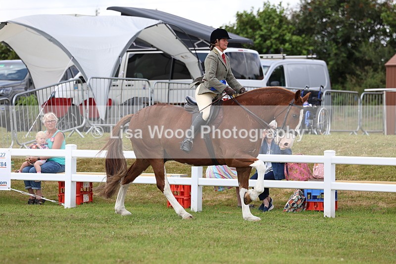 3E7A0518 - Rising Star Ridden Championship