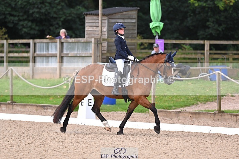 240809-100235-00036 - 211-Amelia.Dovey-Caederwen.Lady.Elinor