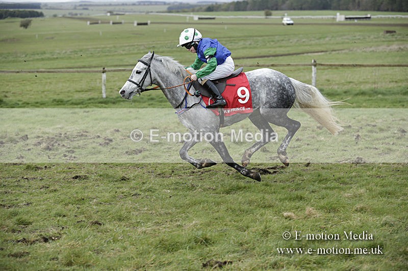 PtP 150320 0777 - New Forest Point-to-Point Larkhill 15/03/20