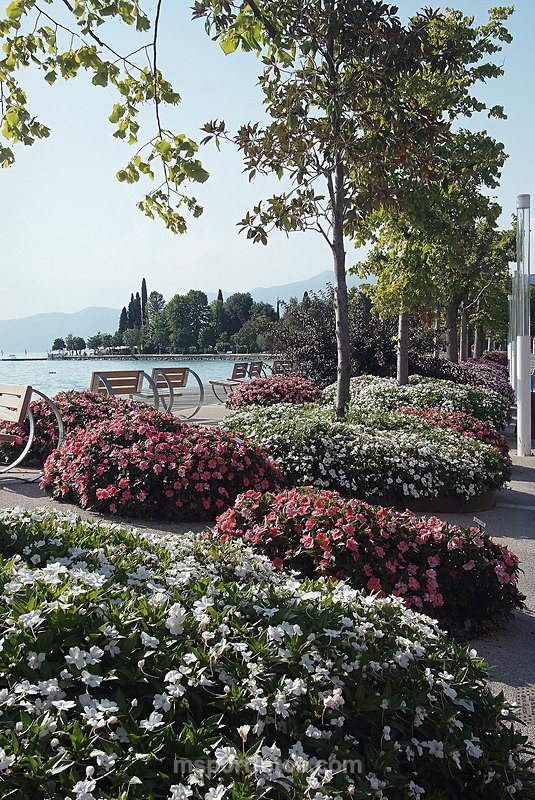 Lakeside at Bardolino - Travel, city/land scapes