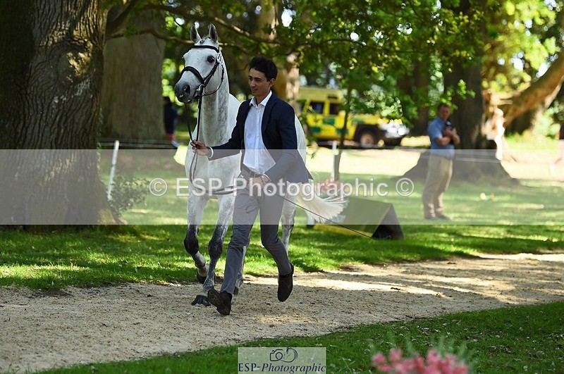 230524-153400-00358 - 359-LONG_BEACH-Giorgio_Nardilli-WEDTrotUp+DR