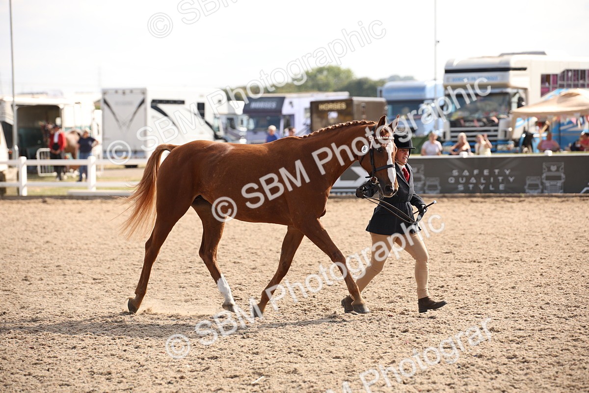 SBM_07078 - Class 25 IH Foreign Breeds- Pure bred