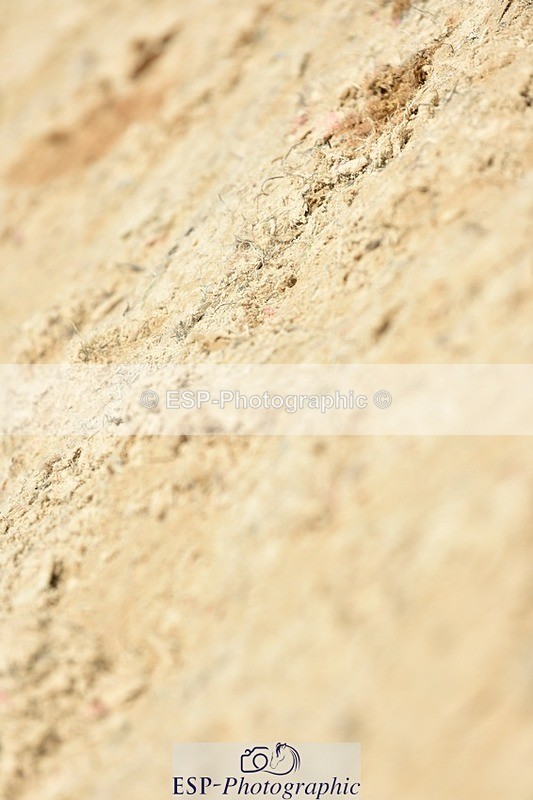 230706-134110-03141 - Cls 6 Newcomers & 1.10m Open